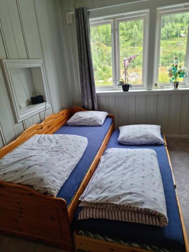 KyrkjemoenLeilighet i Åmotsdal的带2扇窗户的客房内的2张床