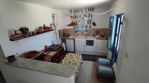 ChebbaCharmant logement avec jardin en permaculture的带沙发的客厅和厨房