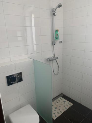 Slovenský GrobUbytovanie u martina的带淋浴、卫生间和盥洗盆的浴室