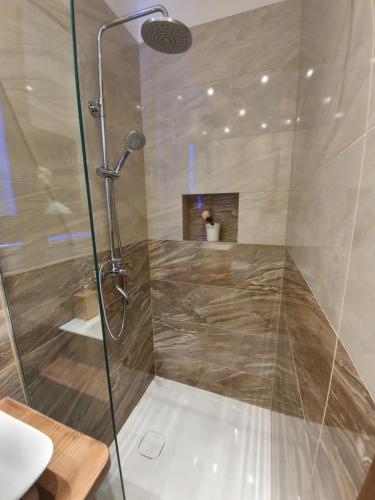 克拉尼斯卡戈拉Studio Srce的浴室里设有玻璃门淋浴