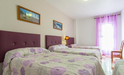 Los Albaricoques阿尔巴乡村酒店的一间酒店客房,房间内设有四张床