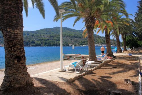 尼亚卢卡Apartments by the sea Vela Luka, Korcula - 11455的棕榈树和椅子与水面的海滩