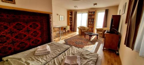 布达佩斯卡西米尔索非亚公寓的一间带一张床的房间和一间带桌子的客厅