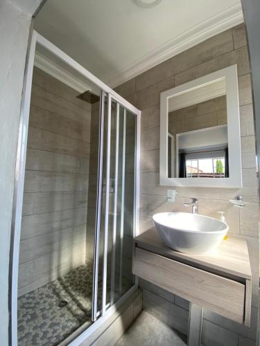 鲁德普特Castle45的浴室配有盥洗盆和带镜子的淋浴
