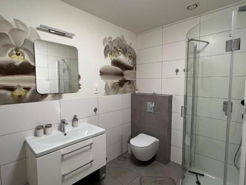 什奇特诺Apartament Szczytno - Centrum的浴室配有卫生间、盥洗盆和淋浴。