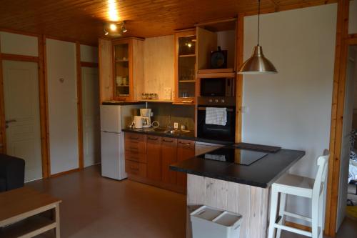 Saint-Manvieu-BocageBeautiful lake view 3 bedroom chalet.的厨房配有木制橱柜和白色冰箱。