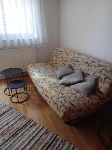 DekaniV klancu的客厅的沙发,配有两个枕头