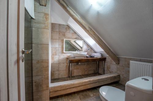 锡吉什瓦拉Clasic Haus Sighisoara的一间带水槽和卫生间的浴室
