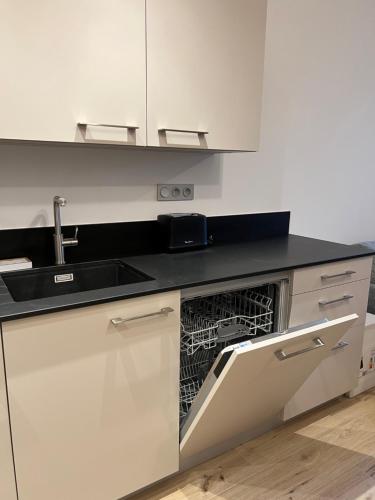 莫尔济讷CARLINA 105的白色的厨房配有洗碗机和水槽