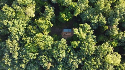 Saint-LaurentInspire Tiny的森林中间房屋的空中景观