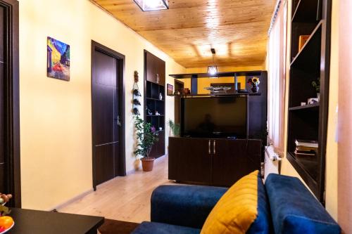 TsinandaliMy Home in Tsinandali的客厅配有蓝色的沙发和电视