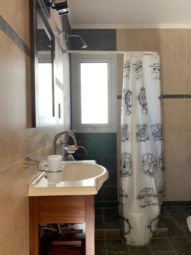 埃斯克尔Lo de Gustavo的一间带水槽和淋浴帘的浴室