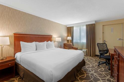 伯利白肋烟会议中心贝斯特韦斯特PLUS酒店的酒店客房设有一张大床和一张书桌。
