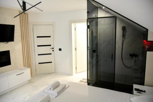 尼什Pansion Eden的带淋浴的浴室和玻璃门
