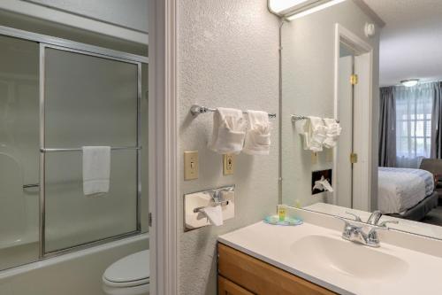 加特林堡Belle Aire Motel - Downtown Convention Center - Gatlinburg的一间带水槽、卫生间和镜子的浴室