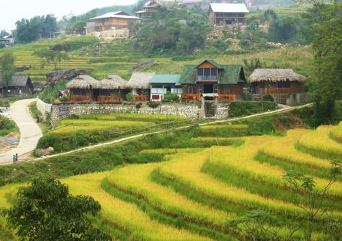 萨帕Sapa Eco Hugo的山边的村庄,有稻田