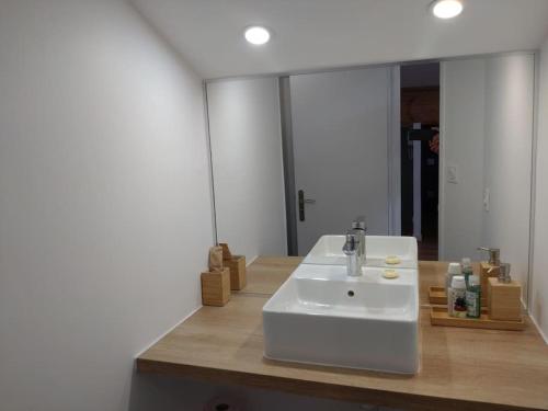 波尔多studio cocoon BORDEAUX Chartrons/ Jardin Public的浴室设有白色水槽和镜子