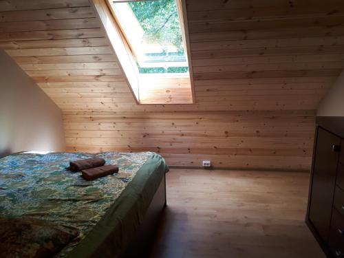 Myza BrenguliBrīvdienu Māja Brenguļos的一间卧室配有一张床和天窗