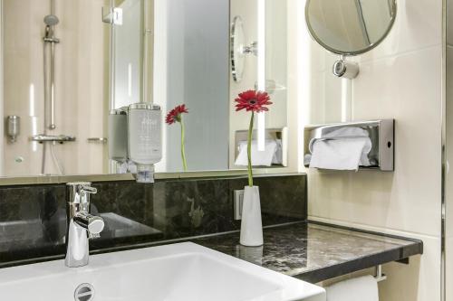 因戈尔施塔特因戈尔施塔特城际酒店的一间带水槽和镜子的浴室
