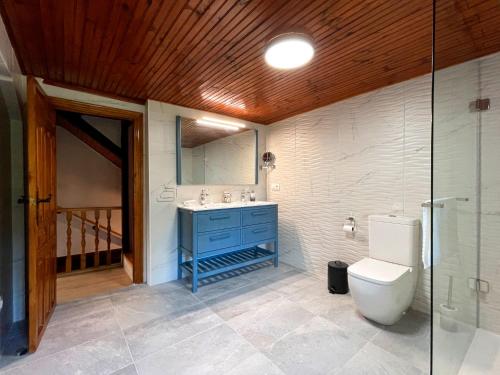 Cilleruelo de BezanaCasa Rural Puerto del Escudo的浴室配有蓝色水槽和卫生间。
