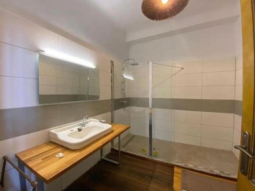 于斯塔里茨Maison Etxeparea的一间带水槽和淋浴的浴室