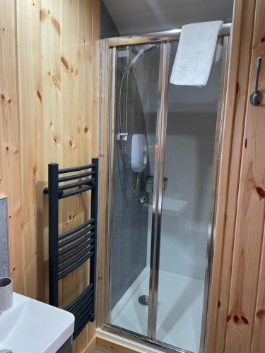 EarlishAllt Yelkie Pod Aon, Earlish的浴室里设有玻璃门淋浴