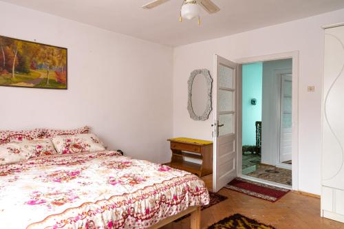 上维谢乌Generous family home的一间卧室配有一张床和镜子