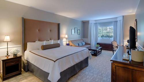 加登城花园城酒店的酒店客房设有一张大床和一台电视。