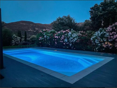 OcchiatanaCASA GIABICONI - Villa 6pers. piscine & spa的鲜花庭院中的蓝色游泳池