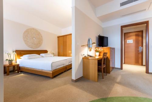 摩拉瓦托普利采利华达名誉酒店 - 特姆3000 - 萨瓦酒店及度假村的一间卧室配有一张床、一张书桌和一台电视