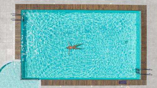法里拉基Kellys Luxury Apartments的游泳池里的鸟儿
