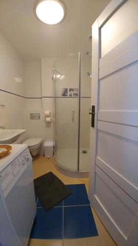 格但斯克Seaside的带淋浴、卫生间和门的浴室