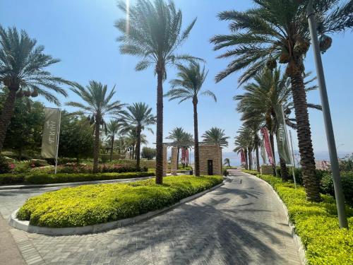 亚喀巴Al Raha Village - Aqaba的度假村内一条种有棕榈树的道路
