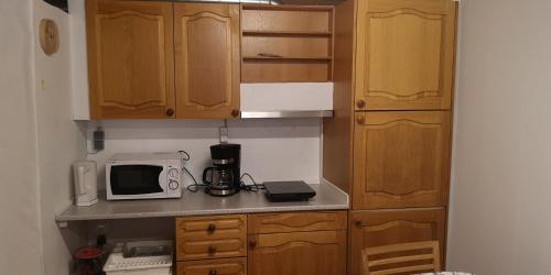 SelatraðLovely 1 BR condo with free parking on premises的一间带木制橱柜和微波炉的小厨房