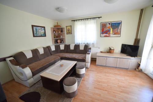 兹拉蒂博尔Vila ZLATNI BOR的带沙发和电视的客厅