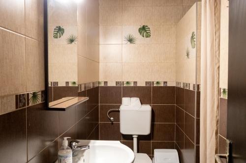 奥多尔黑塞库耶斯克Hotel Tranzit的一间带水槽、卫生间和镜子的浴室