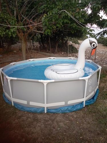 KástronMountain House Kastro的草丛中带天鹅的充气游泳池