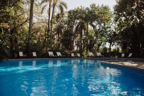 伊瓜苏港Overo Lodge & Selva的一个带椅子和树木的大型游泳池