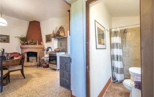 锡耶纳Amazing Home In Siena With Wifi的一间带卫生间、水槽和壁炉的浴室