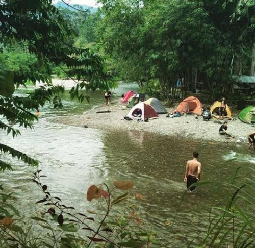 武吉拉旺Bukit Lawang Glamping & Jungle Trekking的一群人住在河里,有帐篷