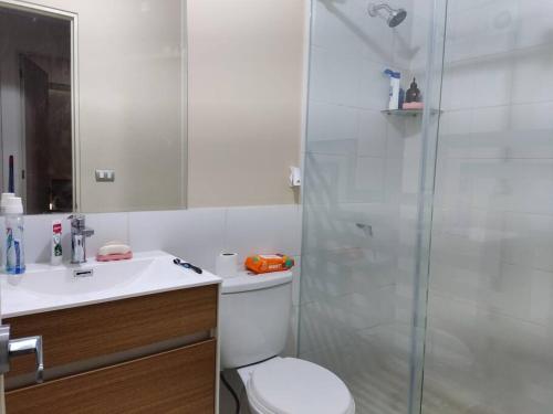 利马Departamento Full en Lince的带淋浴、卫生间和盥洗盆的浴室