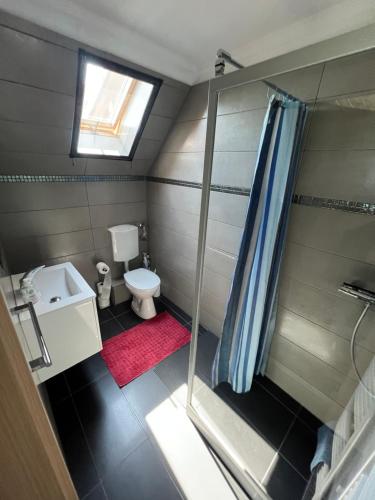 包道乔尼托毛伊曼杜拉公寓的带淋浴和卫生间的小浴室