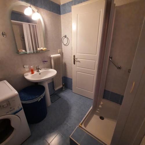 新马克立piu verde1的一间带水槽和淋浴的小浴室