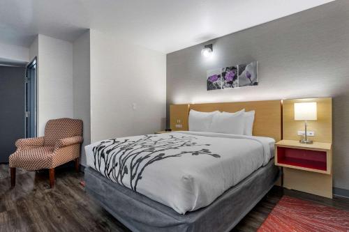 JeromeSleep Inn & Suites的配有一张床和一把椅子的酒店客房