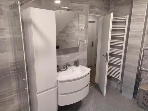 克拉平斯凯托普利采Apartman President的白色的浴室设有水槽和镜子