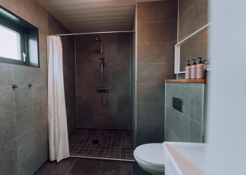 塞尔福斯黑马度假屋的带淋浴和卫生间的浴室