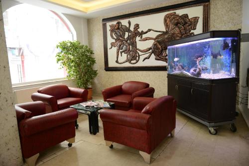 阿菲永索丹酒店的一间设有椅子和鱼缸的等候室