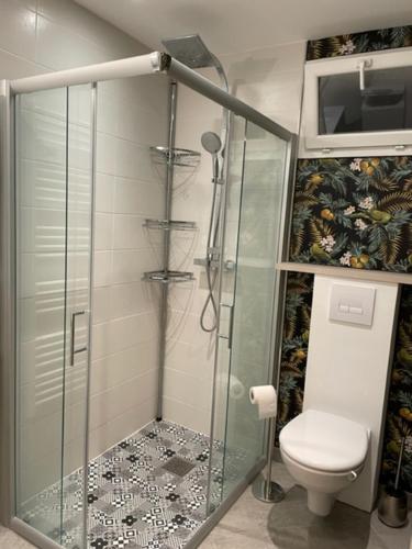 安格雷Charmant Studio pouvant accueillir 4 personnes的浴室设有玻璃淋浴间和卫生间