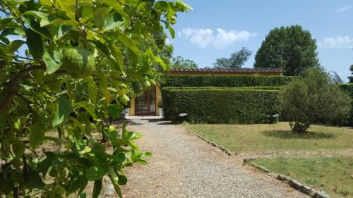 佛罗伦萨la limonaia的一个带树 ⁇ 和小径的花园
