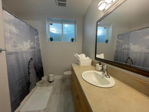 Okanagan FallsKaleden Guest Suite的一间带水槽、淋浴和镜子的浴室